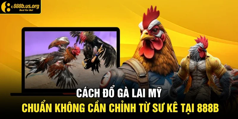Cách Đổ Gà Lai Mỹ Chuẩn Không Cần Chỉnh Từ Sư Kê Tại 888B