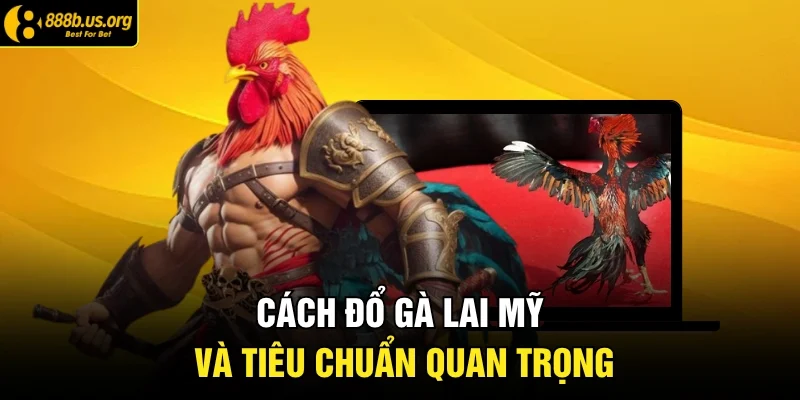 Cách đổ gà lai Mỹ và tiêu chuẩn quan trọng 