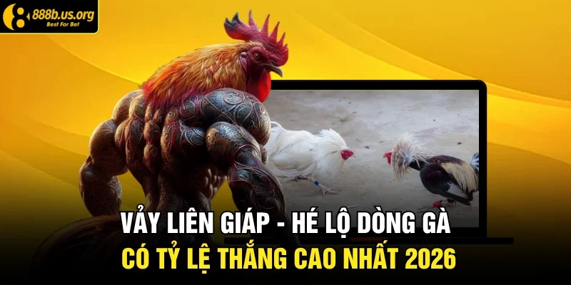 Vảy Liên Giáp - Hé Lộ Dòng Gà Có Tỷ Lệ Thắng Cao Nhất 2026