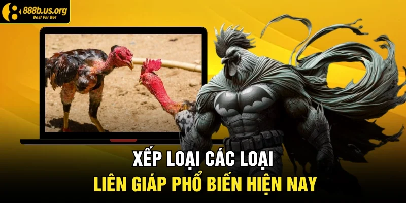 Xếp loại các loại liên giáp phổ biến hiện nay